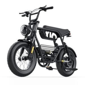 Y16 Ebike
